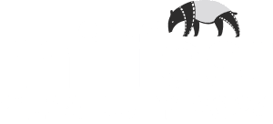 MIFFest – Malaysia International Film Festival Logo
