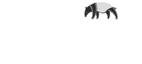 MIFFest Logo